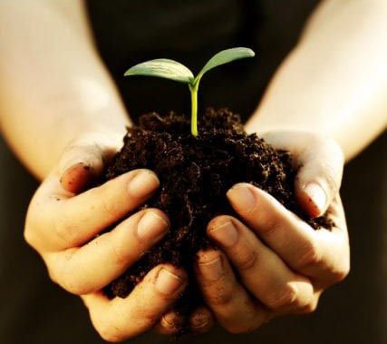 Why Denominations Must Plant New Churches